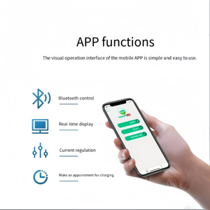 Chargeur EV portable rapide DC 20KW GBT/CCS/Chademo <span class=keywords><strong>G2V</strong></span> Power Bank Cargador APP avec affichage, borne de recharge sans batterie - Product Image 6