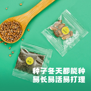 Kit de Cultivo Grow It Sunroom Mini, Juguete Educativo de Ciencia para Niños Mayores de 6 Años, con Semillas y Macetas, Set de Invernadero de Plástico para Escritorio - Product Image 3