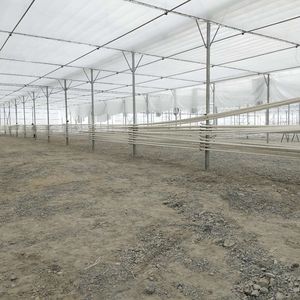 Hoja de plástico para PC Invernadero Marco de tubo galvanizado Casa verde con red de sombra - Product Image 5