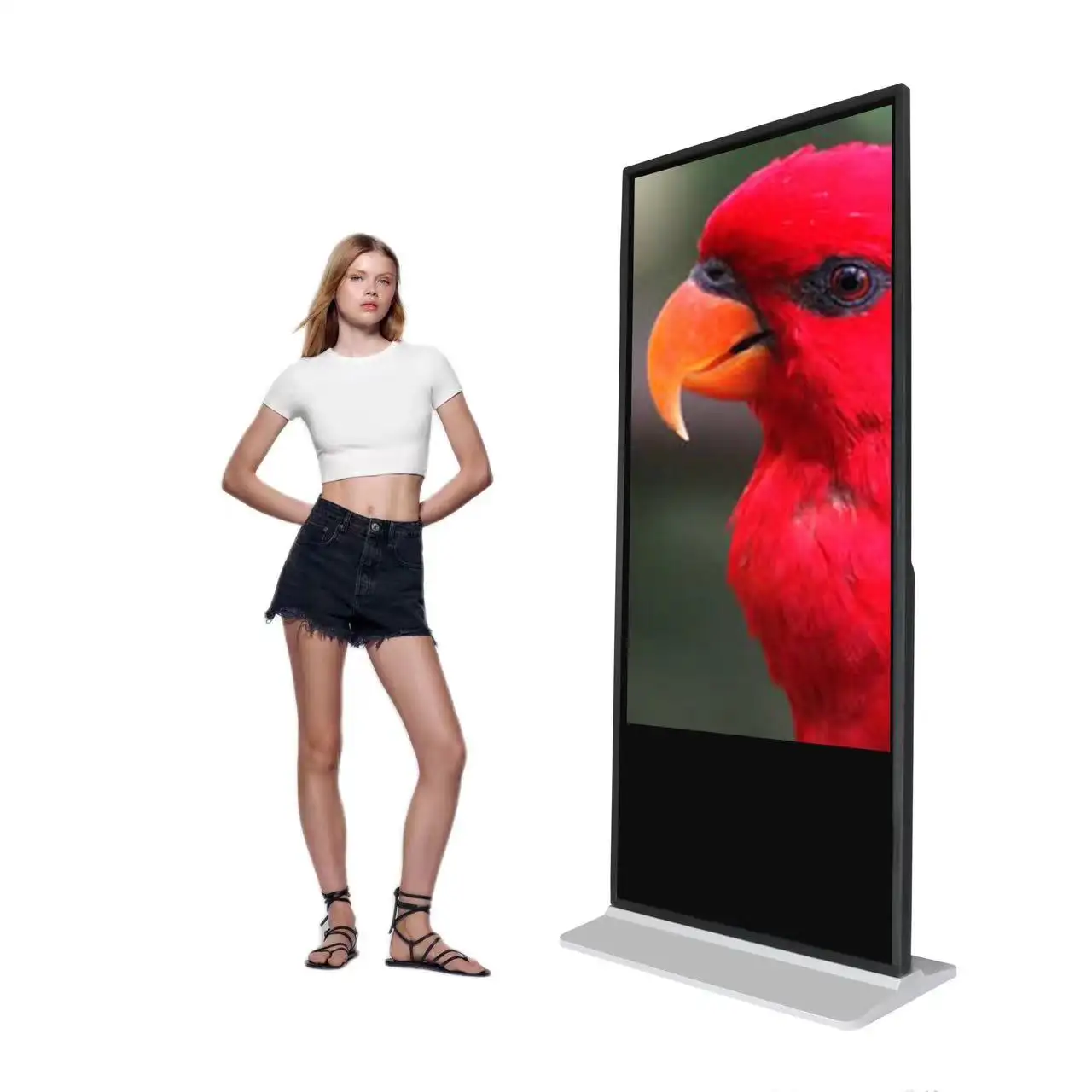 43/49 inç toptan özel 4K dokunmatik ekran monitör interaktif Kiosk kapalı zemin standı totem LCD reklam ekranı BST
