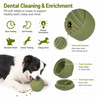Choix des vendeurs en ligne : Jouet pour chien en caoutchouc menthe avec design de distribution lente pour libérer l'énergie en intérieur