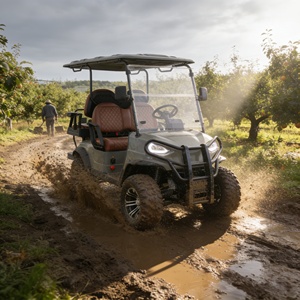 Véhicule utilitaire électrique de Type UTV, buggy <span class=keywords><strong>tout</strong></span>-<span class=keywords><strong>terrain</strong></span>, pour agricole et le jardin - Product Image 4