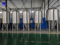 Fermenteur à bière personnalisé en acier inoxydable SUS304 de 4000 L : Unitank conique isolé avec contrôle numérique de la température et pression.