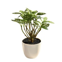 Plante artificielle Vcare Bonsaï 26 cm, verdure réaliste faite à la main pour la décoration intérieure du salon