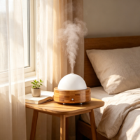 Diffuseur d'arômes ultrasonique de table, type USB, facile à déplacer, avec lumière nocturne à 7 couleurs, humidificateur d'huiles essentielles pour aromathérapie