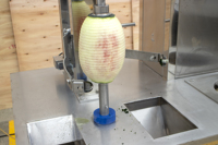 Automatische Kokos Meloen Mango Huid Verwijderaar Dunschiller Machine Pompoen Schilmachine Papaja Was Kalebas Peeler Machine