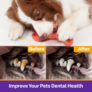 Lot de 3 jouets écologiques pour chiens Super Chewer Indestructibles pour les Chewers agressifs Tough Nylon Bacon Pet Interactive Movement Toys - Product Image 4