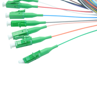 Cordon de brassage fibre optique monomode XXD MPO 12 cœurs 0,9 mm 1M, assemblage en éventail MPO vers LC FTTH, garantie 1 an, câblage LAN