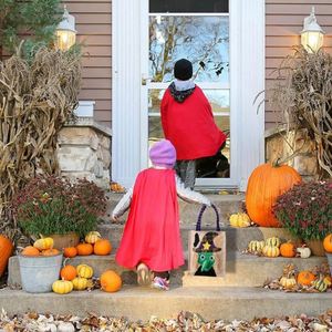 Bolsas de Regalo de Halloween Transfronterizas, Bolsas de Tela No Tejida con Adornos Decorativos, Diseño de Dulces y Calabazas, Artículos Festivos - Product Image 6