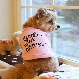 Camisetas divertidas y lindas para perros XL, con diseño 'Mejor Amigo Peludo', 'Little Miss Attitude', 'Atención, no puedo controlar mi lamería', 'Trabajo mucho' - Product Image 3