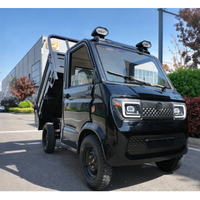 Mini-pick-up électrique L6e EEC COC avec caméra arrière, 4 roues, hydraulique, pour entrepôt UE