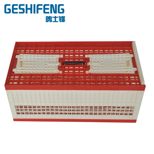 Vendita diretta in fabbrica scatola di addestramento per piccioni in plastica gabbia vendita calda migliore qualità pieghevole - Product Image 4