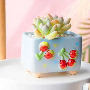 Peinture à la main en relief fruits fraise pot de fleurs succulent pot de fleurs joli motif de fruits plante Pot de fleur jardinière carrée - Product Image 3