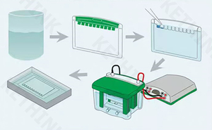 جهاز التحليل الكهربائي الصيني مع خلية KETHNK KT-mingel، نظام خلية تحليل الكهربائي للحمض النووي من النوع العمودي - Product Image 4