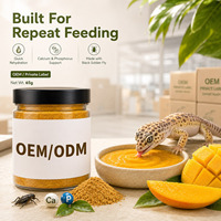 Reptielen Fruit Smaak Insectenpoeder Gekko Kleine Hagedis Zachte Pasta Aangepaste Formule Privélabel Fabrieksdirect Bulk Supplementen