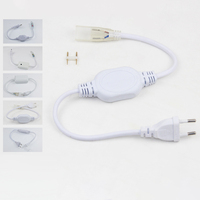 Bande lumineuse LED personnalisée AC110/220V avec prise US/EU/UK/SAA, accessoires 2-4 broches, 2A 4A 8A 15A 20A 100W 1000W 2000W