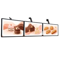 Lumière LED extérieure décorative ultra-mince, résistante aux intempéries, à haute luminosité, écologique, en alliage d'aluminium solaire, 5000 lumens, pleine couleur