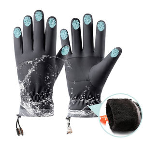 Custom Winter Outdoor Sports Windproof Waterproof Touchscreen Thick Plush Thermal Lining Hand Warm <b>Gloves</b> - Product Image 1