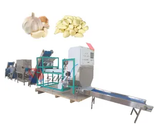 High performance garlic peeling line garlic processing production line garlic peeling machine production line