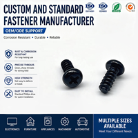 Vis autotaraudeuses à tête cylindrique et queue plate GB845 noires, trempées et durcies