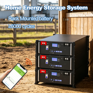 Batería de Almacenamiento de Energía Doméstica para Montaje <span class=keywords><strong>en</strong></span> Rack UNC, 5KWH, 48V, 51.2V, 100AH, LiFePO4, BMS, CAN/RS485, Pantalla LCD, 6000 Ciclos de Vida, Energía Solar Doméstica - Product Image 6