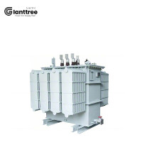 GIANTTREE S11-M-30 Transformateur toroïdal triphasé 220V immergé dans l'huile, moyenne et haute tension, 50Hz, personnalisé