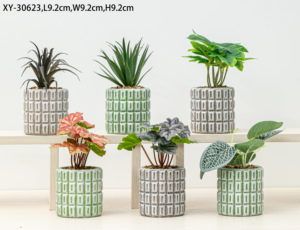 Macetas para Plantas Suculentas en Oferta, Macetas de Cemento Artificial para Plantas, Decoración Creativa de Escritorio con Plantas Suculentas - Product Image 4