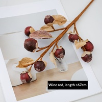 Grensoverschrijdende gedroogde Luo Han Guo takken, vruchten, harsambachten, gedroogde bloemen, huisdecoratie, bloemkunst, fotografie-accessoires, Scandinavisch