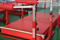 HAOGYM Handstand Bouncer, la hauteur du barre est réglable de 95 cm à 135 cm, équipement de gymnastique pour l'entraînement
