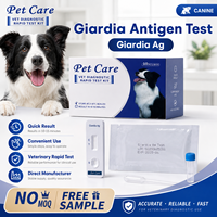 Veterinaire Honden Testkit, Zeer Gevoelig, Hot Selling CPV/CCV/GIA/CRV 4-in-1 Snelle Testkit voor Thuis/Kliniek, Gratis Monster Testkit