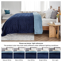 Couverture en polaire Sherpa 100 % polyester à logo personnalisé, très douce, en tissu jacquard 3D double face, écologique, vente chaude
