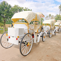 Calèche royale de style européen, calèche électrique pour mariage, chariot en acier pour 4-6 personnes, transport spécial pour visites touristiques