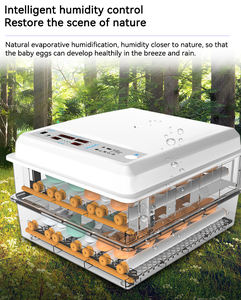 36 64 120 176 Máy ấp trứng tự động Máy ấp trứng giá rẻ nhất Máy ấp trứng đà điểu - Product Image 4