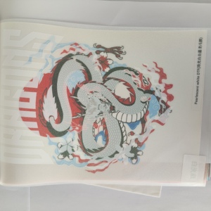 Pearlescent Trắng dtf ebon 30cm 60cm dtf máy in sử dụng truyền nhiệt Pet dtf phim cho in ấn - Product Image 2