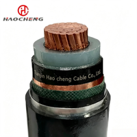 YJV62 8.7/10kV 1C Cu XLPE NonMag STA PVC CE/VDE/UL AntiEddy Umspannwerk Unterirdisch Verlegbar