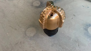 Offre Spéciale – Têtes de Forage PDC à 3 Lames de Tailles Complètes, 8-5/8 Pouces, pour Puits d'Eau et Pétrole - Product Image 3