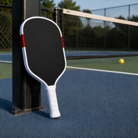 Raquette de pickleball portable en fibre de carbone T700 de haute qualité pour équipement et accessoires de style pro pour projets LABS