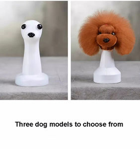 מודל כלב עבור טיפוח חיות מחמד תרגול פאה עם מודל גולגולת כלב מנקין - Product Image 3