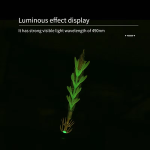 Esca Luminosa per <span class=keywords><strong>Calamari</strong></span>, Esca Bionica a Forma di Gamberetto con Amo a Ombrello, Vendita Diretta dalla Fabbrica - Product Image 3