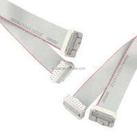 6 8 10 12 14 16 20 24 26 30 34 40 50 60 64 Pin 2.54mm Pitch Konektor Idc Abu-abu Perakitan Kabel Datar Kabel Pita Idc