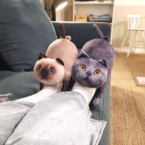 Pantoufles en coton antidérapantes pour femmes, chaussures d'intérieur Mao pour couple, automne et hiver - Product Image 4