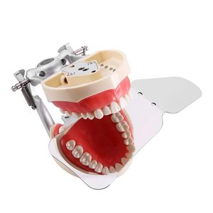 Miroirs photographiques unilatéraux pliables, miroir buccal dentaire, réflecteur photographique dentaire en acier inoxydable - Product Image 5