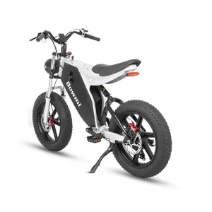 Fat Tire Snow Bike Mountain Tire Electric For Fat Tires Electric Motor Bike Electric Mountain Bike