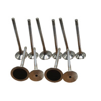 قطع غيار السيارات الأصلية EA888 EVO2 GEN 2 GEN 3 بمحرك Tsi Tfsi أجزاء المحرك صمامات السحب والعادم 06J109601E 06J109611E