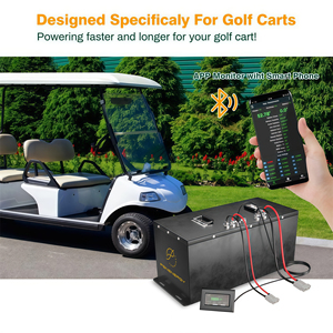 Batterie au lithium LiFePO4 personnalisée <span class=keywords><strong>PSN</strong></span> 48V 150Ah 165ah pour chariot de golf électrique, véhicule de tourisme, rechargeable - Product Image 6