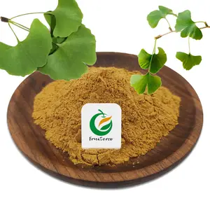 Fruiterco Bulk 24.0% Flavonen 6.0% Lactones 24/6 Ginkgo Leaf Extract Poeder Ginkgo Biloba Extract