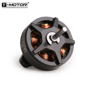 <span class=keywords><strong>Motor</strong></span> Bldc T-HOBBY F0802 KV25000 de Potencia Máxima de 20w para Dron 1S y <span class=keywords><strong>Parapente</strong></span> - Product Image 1