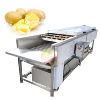Machine à laver et à éplucher les légumes et les fruits, brosse à carottes, équipement de lavage, graines d'olives, nettoyage du tambour