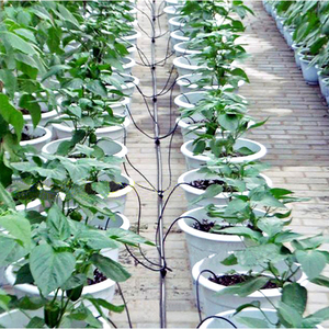 Emisor de Goteo para Riego, Conexión de Manguera, Riego de Plantas <span class=keywords><strong>en</strong></span> Maceta, Microirrigación de Jardín - Product Image 4