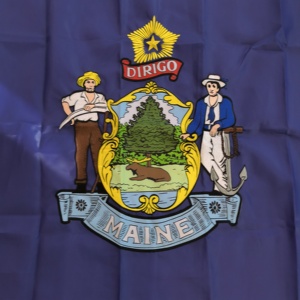 Banderas de Maine para Exteriores, 3 x 5 pies, Resistentes y Antidecoloración, Tela Oxford para Exteriores, Bandera del Estado de EE. UU. con Patrón Bordado - Product Image 3